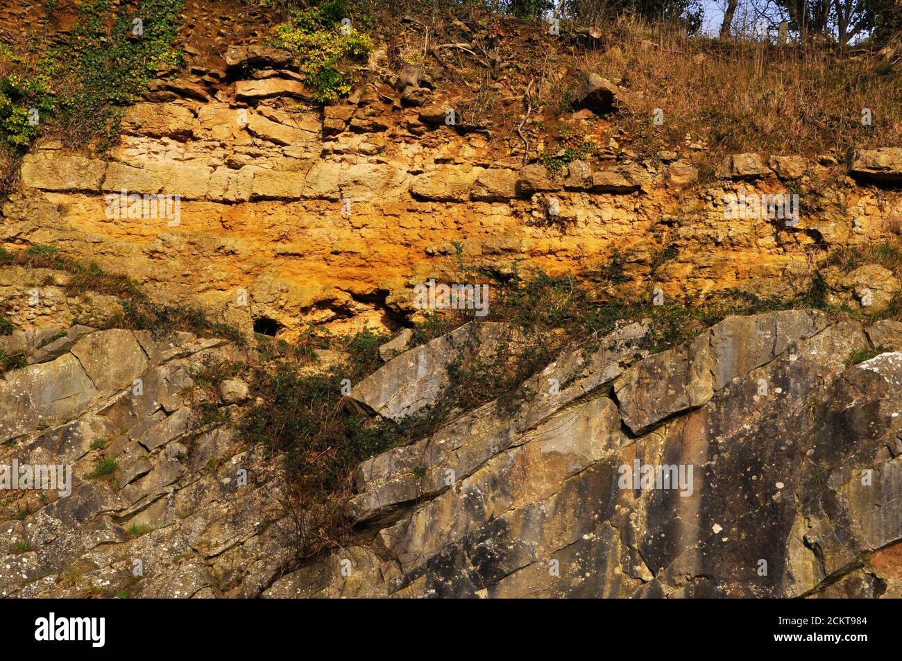 Gros plan de l'Oolite inférieure jaune de non-conformité géologique de la Beche sur le calcaire carbonifère gris à forte pente. Vallis Vale près de Frome, Banque D'Images