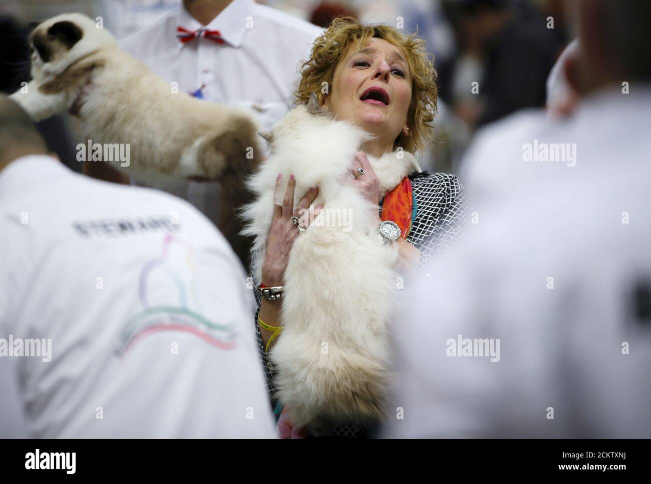 Une Participante Donne Son Chat Aux Juges Lors De L Exposition De Chat 16 Du Gagnant Mediterraneen A Rome Italie Le 3 Avril 16 Reuters Max Rossi Photo Stock Alamy