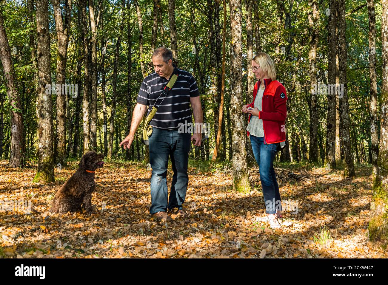 Thierry Bezeux fait un geste en direction de son chien à truffes Elfe qui attend, tout en discutant avec la journaliste Angela Berg sur le terrain de truffes près de Marey-lès-Fussey en Bourgogne, France. Elfe est assis dans les feuilles à gauche tandis qu’Angela, vêtue d’une veste rouge, examine une truffe dans sa main. Thierry guide désormais environ 3 000 touristes par an à travers sa "Maison des mille truffes". Banque D'Images
