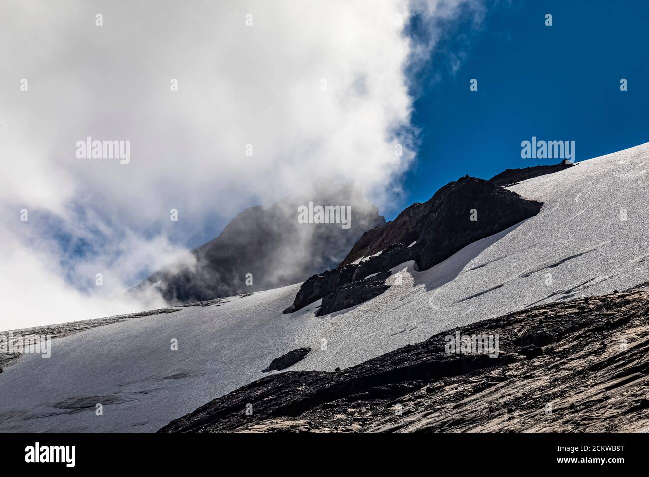 Nuages descendant sur le belof de Heliotrope Ridge Mount Baker, forêt nationale de Mount Baker-Snoqualmie, État de Washington, États-Unis Banque D'Images