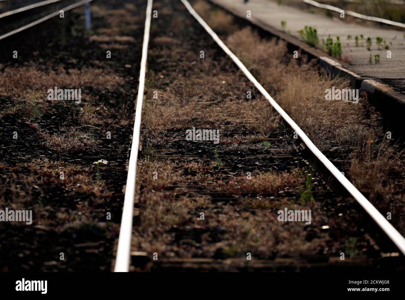 Lucon Banque D Image Et Photos Alamy Lucon Banque D Image Et Photos Alamy