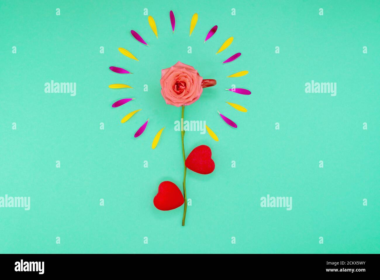 Fond floral de printemps. Pétales de fleurs et pâquerettes sur fond turquoise. Rose dans une tasse de café aux pétales. Belles fleurs avec espace de copie pour le texte sur fond turquoise. Composition florale. Banque D'Images