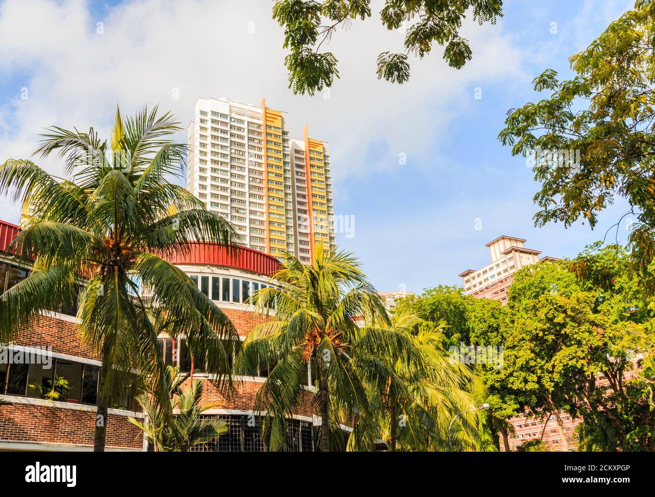 Anciens et nouveaux immeubles d'appartements dans le quartier de Tiong Bahru à Singapour. Les bâtiments en brique basse remontent à avant la Seconde Guerre mondiale et la montée en couleur derrière elle est de la fin du XXe siècle. Le premier domaine immobilier de Singapour, construit dans les années 1930 à l'ouest de Chinatown, est considéré aujourd'hui comme l'un des quartiers les plus « hippes » de Singapour. La population résidente reste cosmopolite -- jeunes et vieux, gays et droits, étrangers et résidents locaux. Et contrairement aux masses de boxy, moderne Housing Development Board appartements autour de Singapour, les appartements Tiong Bahru avec leurs balcons arrondis et wi fermé Banque D'Images