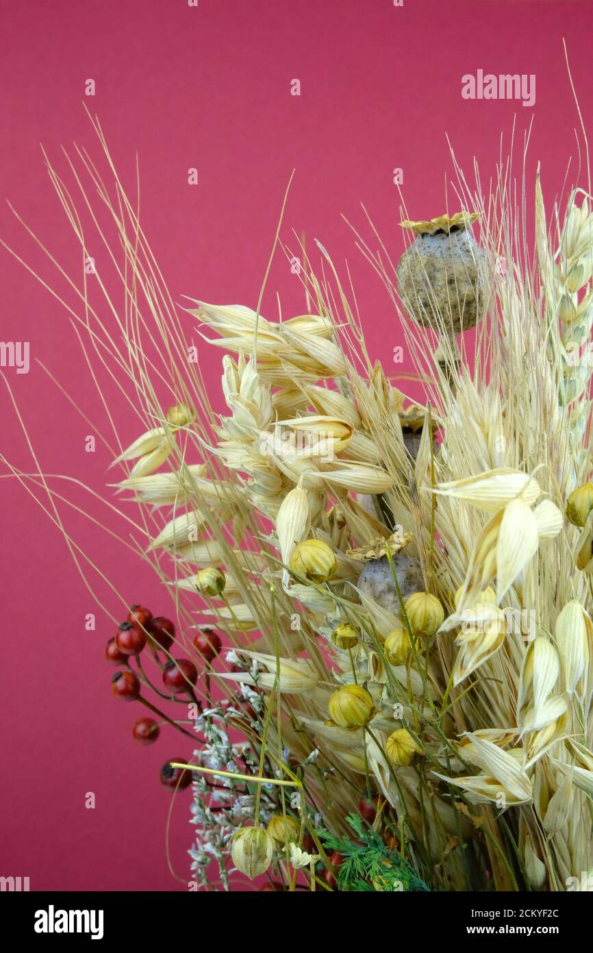 Bouquet de fruits secs récoltés, une tradition pour le festival de la récolte dans les pays européens Banque D'Images