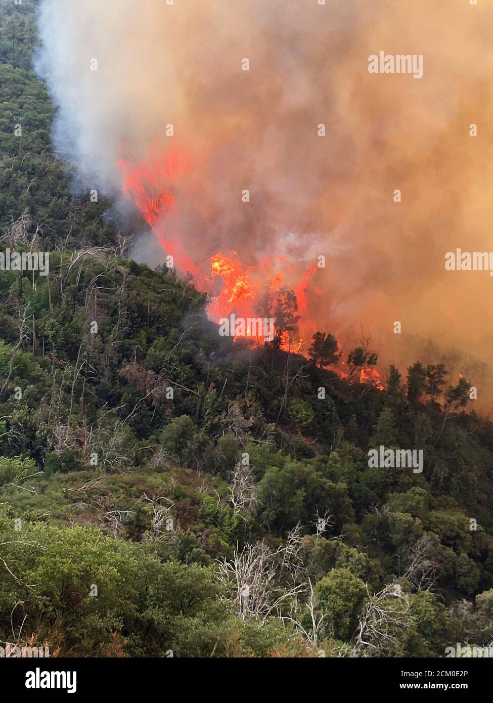 Les flammes intenses grimpent sur une crête près de South Coast Ridge Road dans le feu de Dolan à la forêt nationale de Los Padres 10 septembre 2020 près de Big sur, Californie. Le feu a détruit plus de 117,000 acres et n'est que partiellement contenu. Banque D'Images