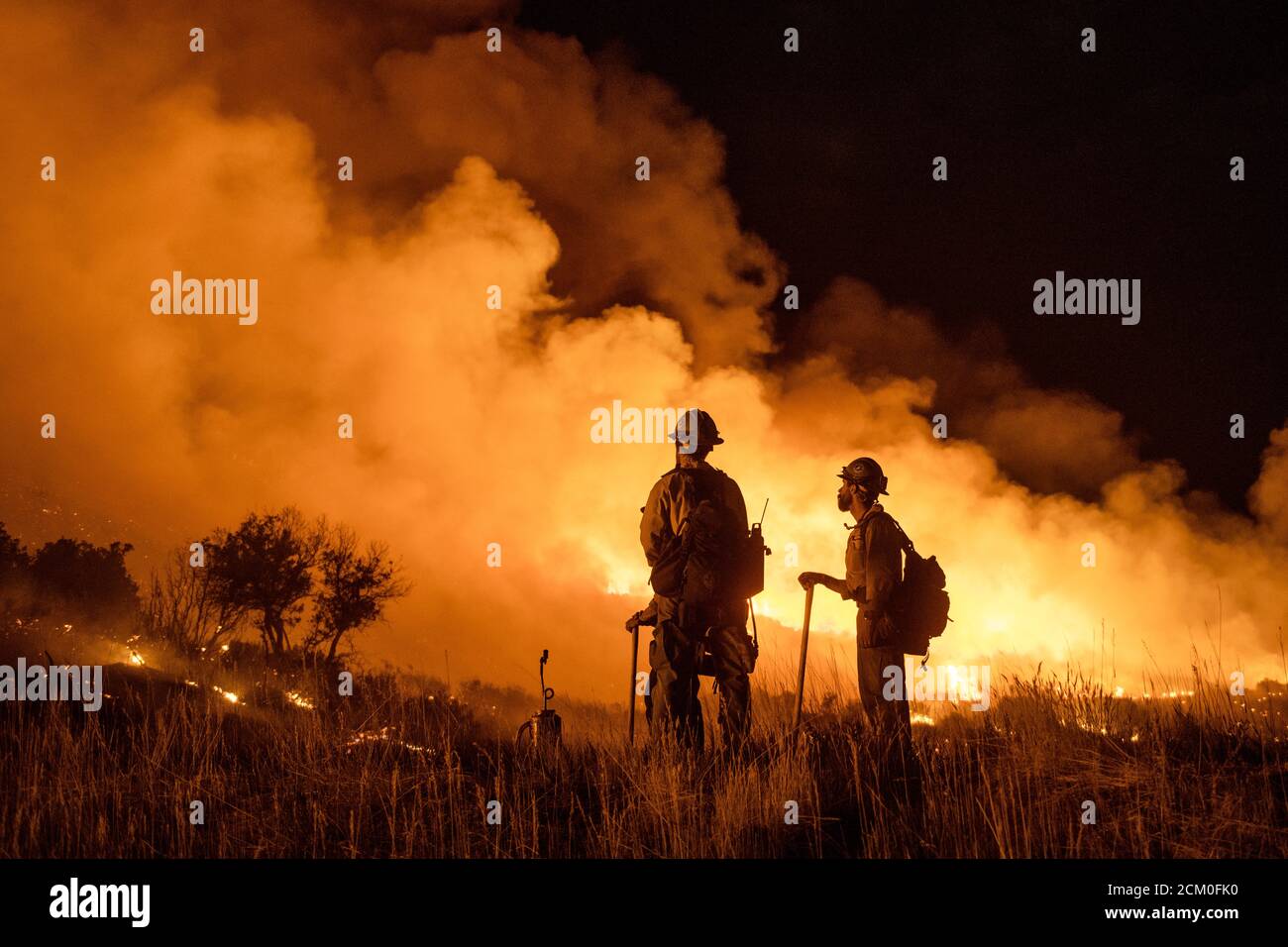 Wyoming Hot Shots pendant les opérations de nuit au Pine Gulch Fire sur le versant ouest le 2 août 2020 près de Grand Junction, Colorado. Le feu de forêt est le plus important de l'histoire du Colorado, détruisant des dizaines de milliers d'habitats de ranch et de faune. Banque D'Images