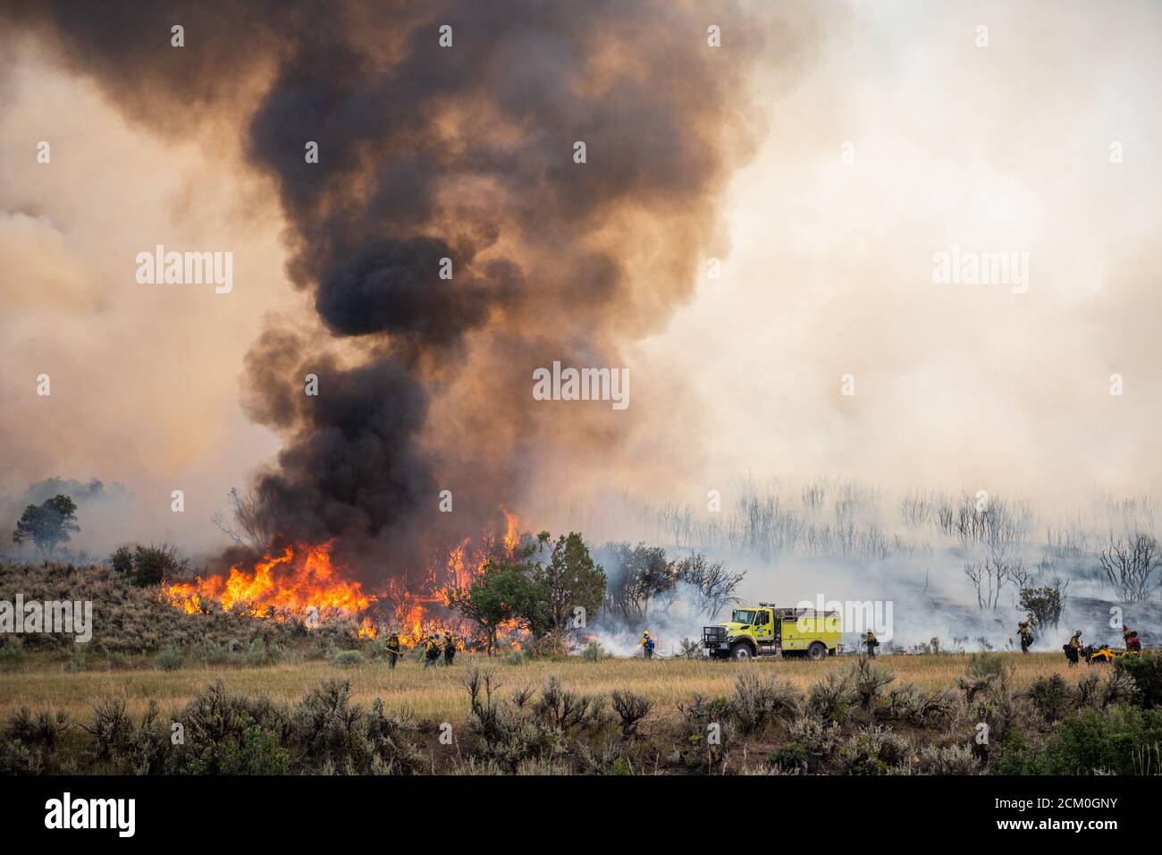 Les pompiers observent les flammes intenses de l'incendie de Pine Gulch sur le versant ouest le 2 août 2020 près de Grand Junction, Colorado. Le feu de forêt est le plus important de l'histoire du Colorado, détruisant des dizaines de milliers d'habitats de ranch et de faune. Banque D'Images