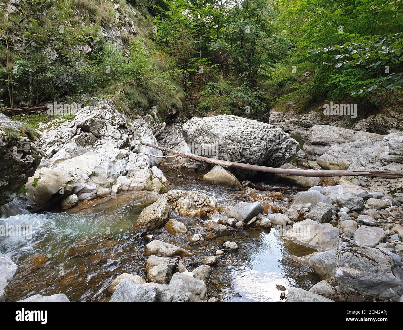 Cheile Rimetului Gorges de Cheile Rametului parc naturel sauvage région de rivière ...