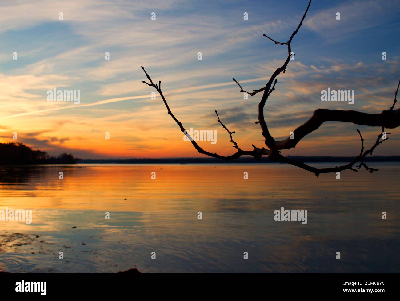 Coucher de soleil sur la baie de Belmont avec branche d'arbre stérile silhouette et rive de rivière. Banque D'Images