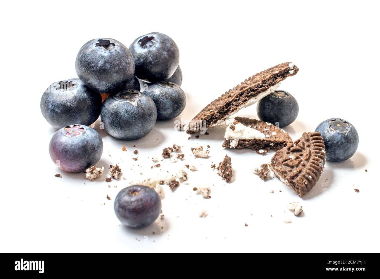 Biscuits au chocolat avec myrtilles, petit déjeuner, boulangerie. Décoration de gâteau. Délicieux petits gâteaux au chocolat pour le petit déjeuner avec lait et bleuets. Banque D'Images