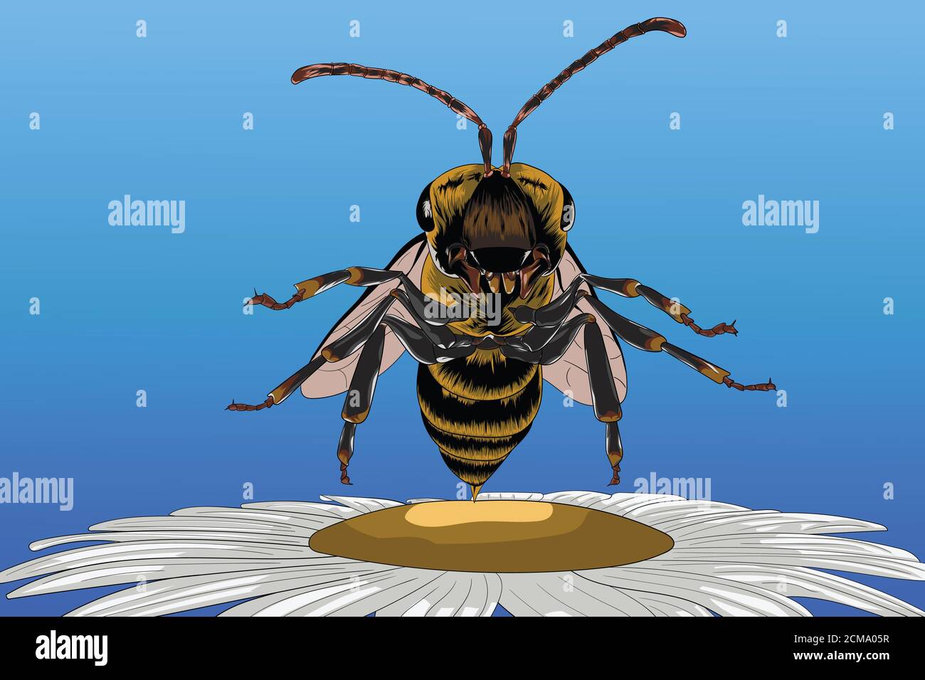 Une abeille sort de la fleur blanche Banque D'Images