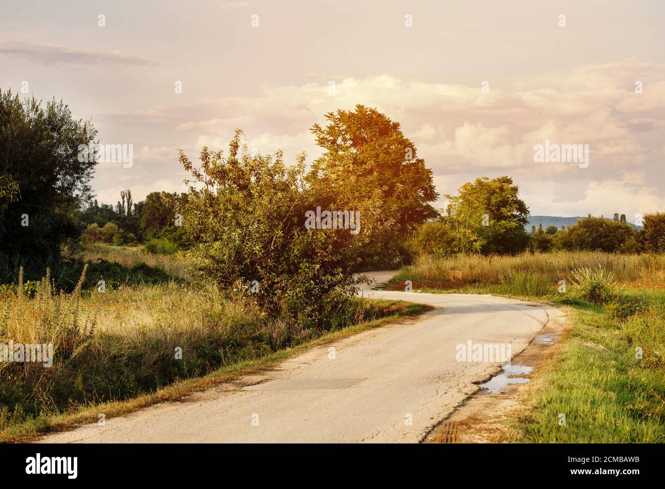 Paysage rural avec route d'asphalte de campagne courbe en journée ensoleillée Banque D'Images