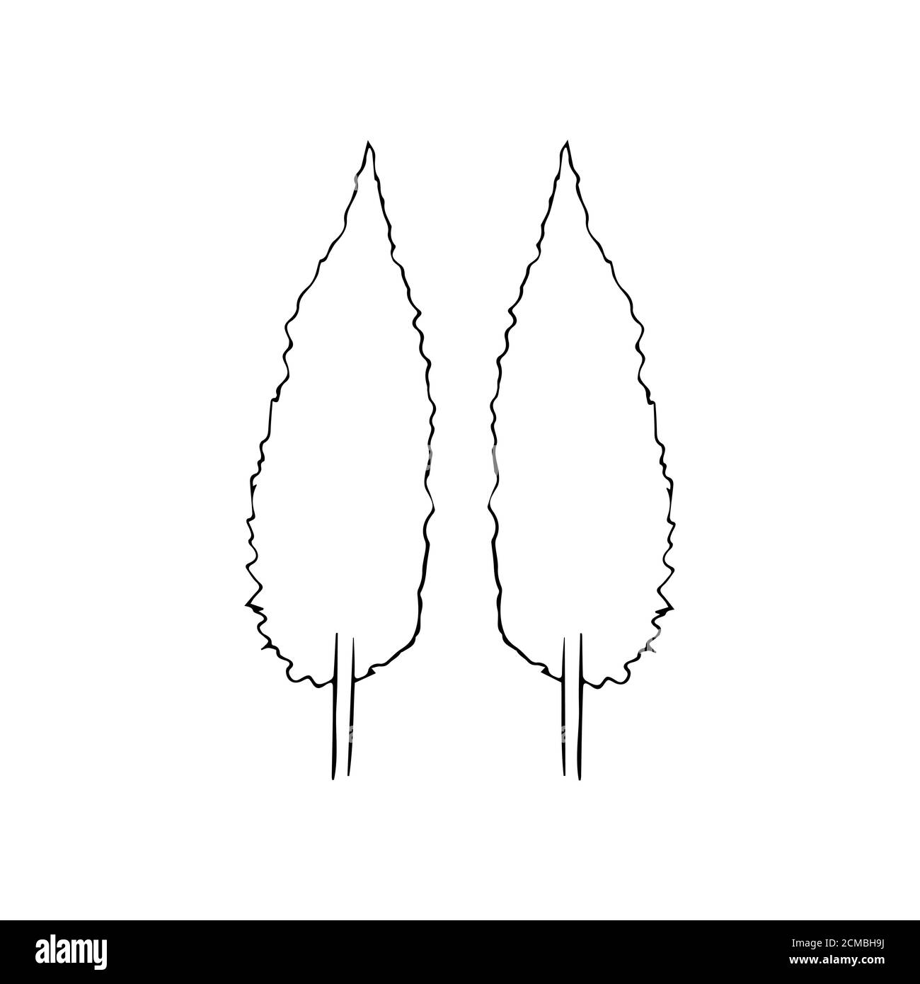 silhouette d'un arbre isolé sur un fond blanc. Banque D'Images