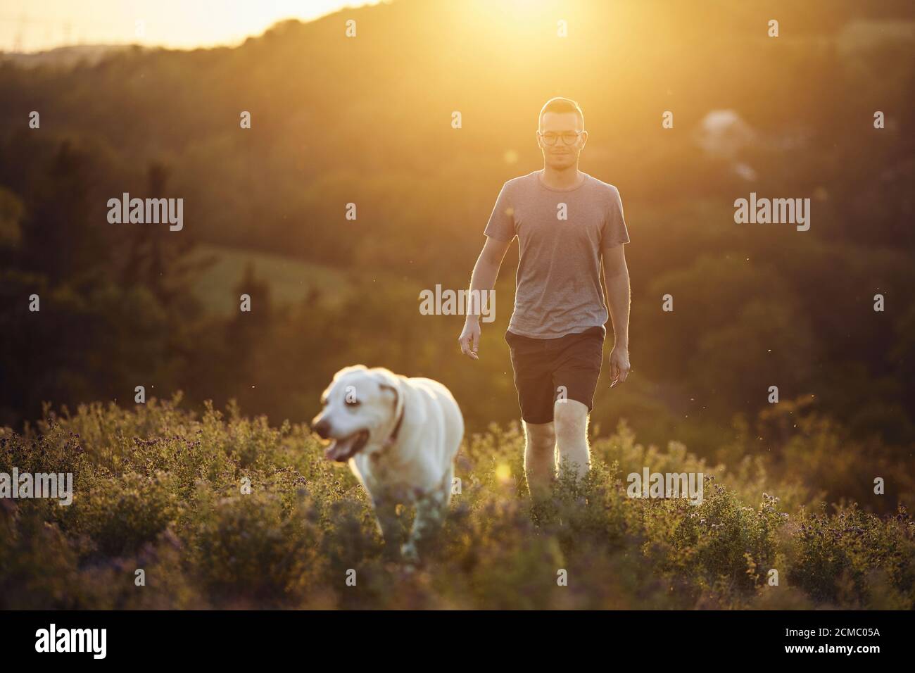 Homme avec chien sur la prairie au coucher du soleil. Propriétaire d'animal de compagnie marchant avec son Labrador retriever mignon dans l'herbe. Banque D'Images