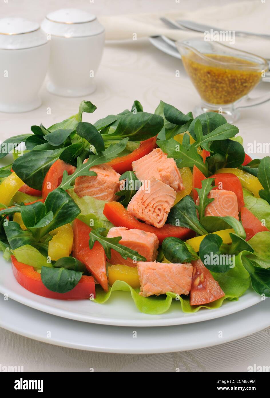 Salade de légumes avec du saumon Banque D'Images