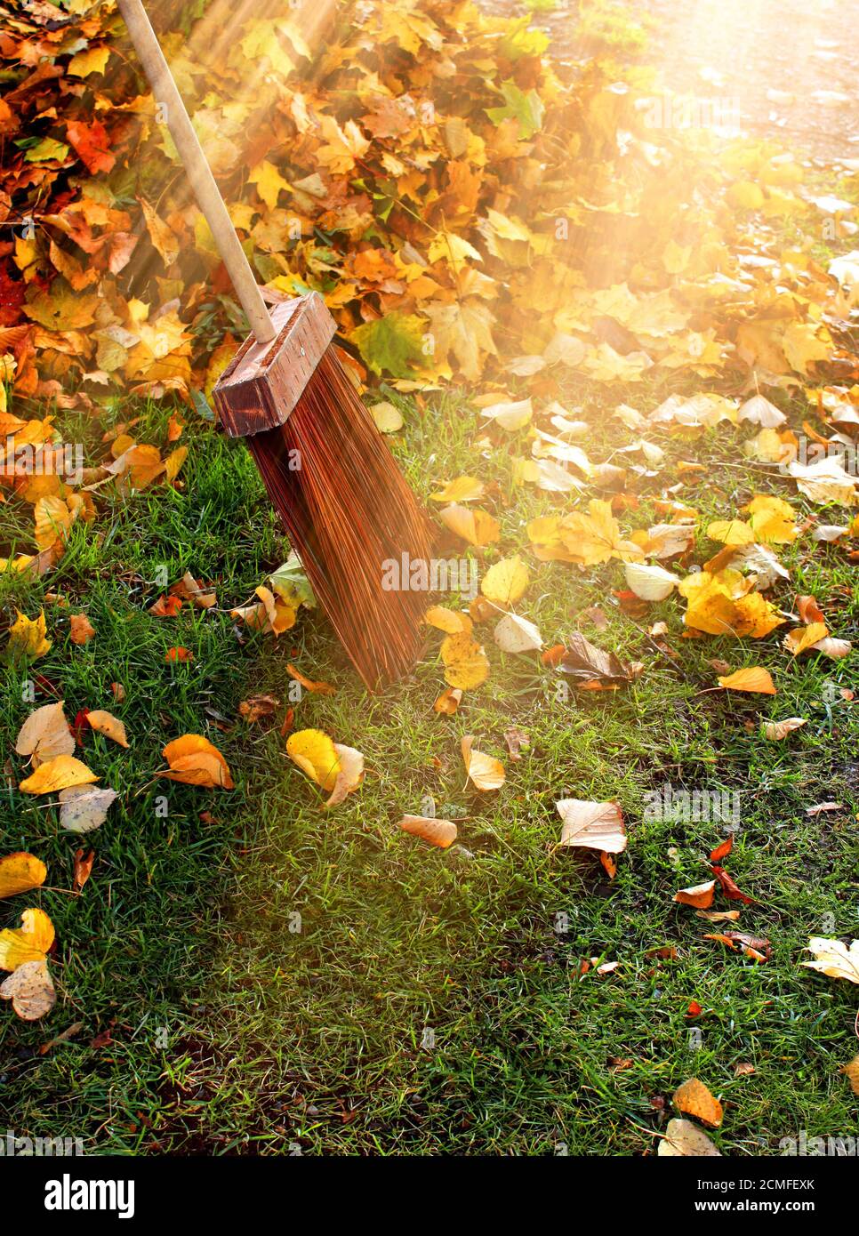 Balai de soie traditionnel et feuilles colorées en plein soleil d'automne Banque D'Images