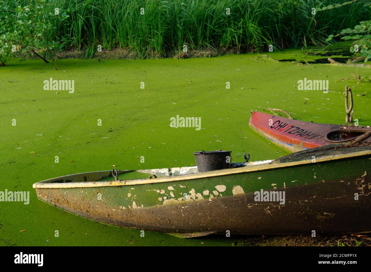 Vieux canoë et une botte en bois sur l'étang avec le seau Banque D'Images