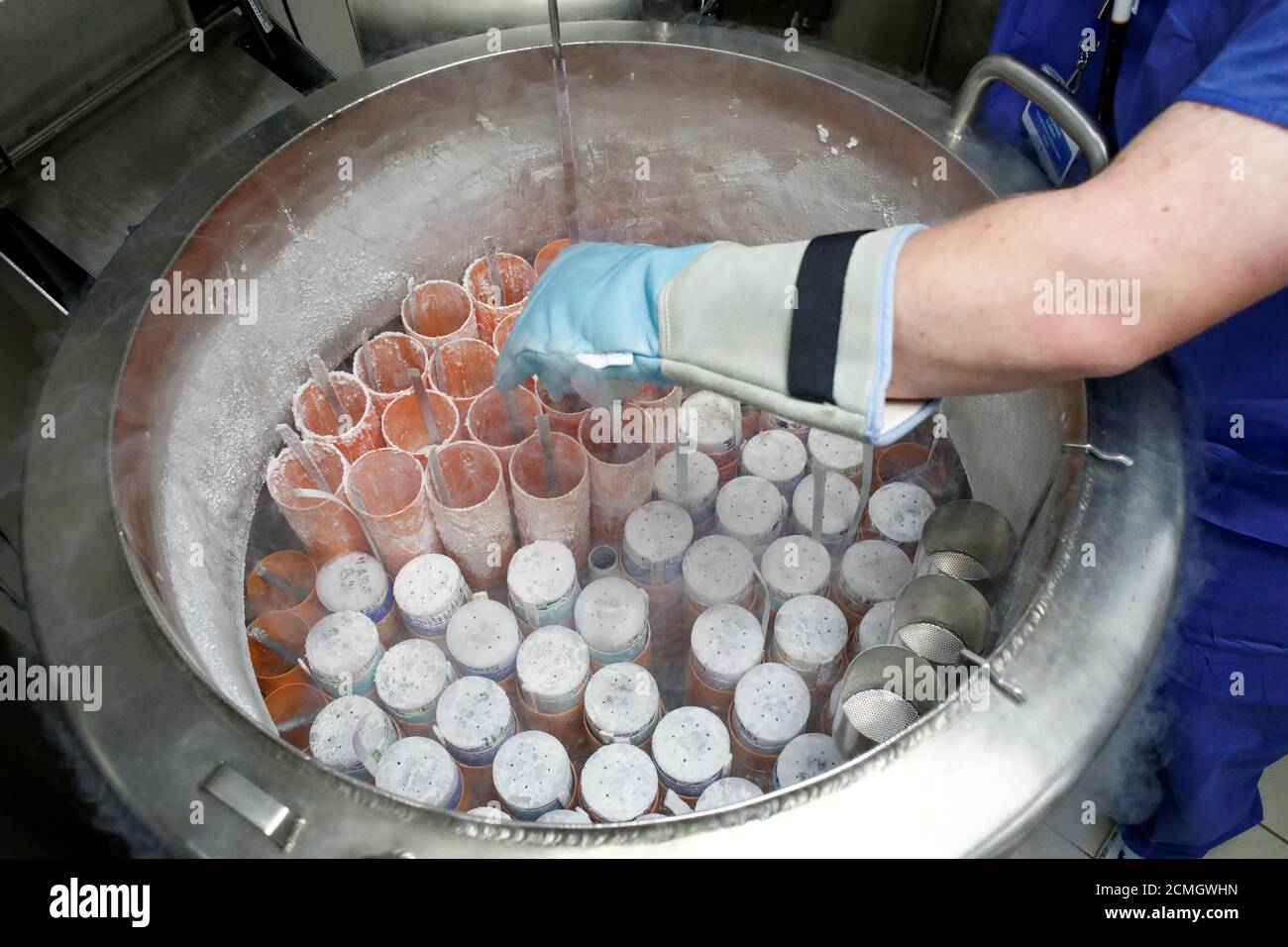 Un technicien médical prépare des échantillons d'embryons et de  spermatozoïdes pour la congélation au laboratoire de biologie de la  reproduction CECOS de l'hôpital de Tenon à Paris, France, le 19 septembre  2019.