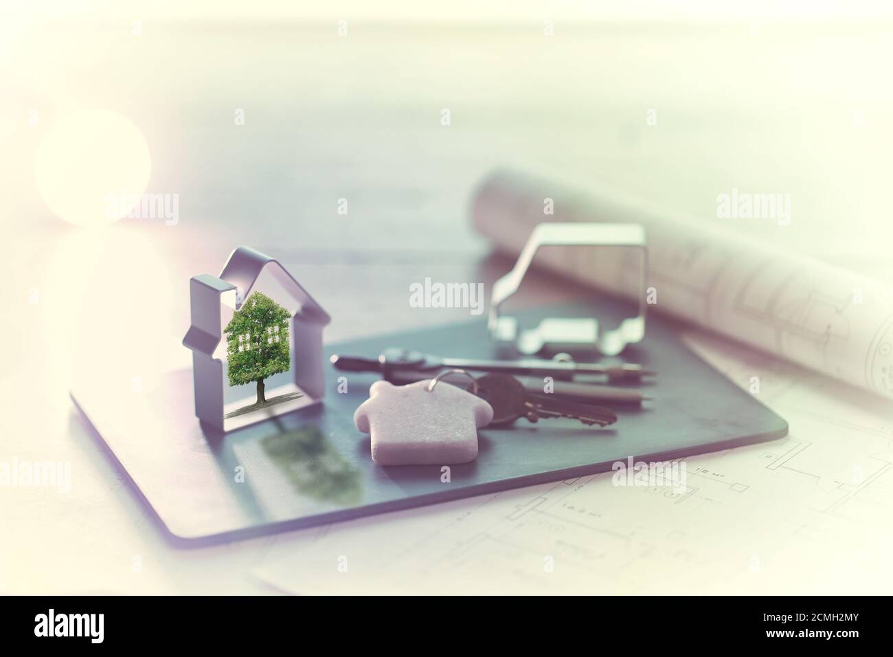 projet immobilier, arbre vert, maison, écologie Banque D'Images