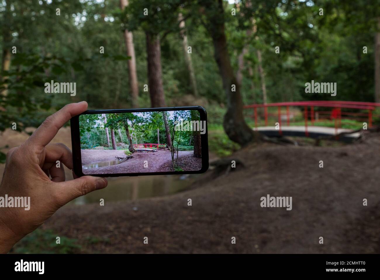 femme faisant une photo avec un smartphone du pont japonais rouge typique dans le jardin avec des arbres de forêt et des plantes et du sable à la frontière de la petite eau. Banque D'Images