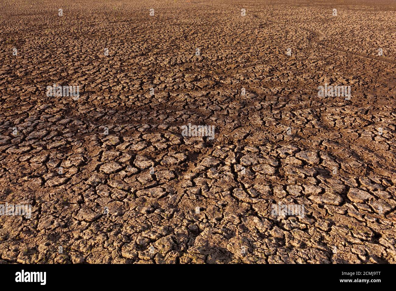 terre sèche et racée dans le désert. Réchauffement climatique et pénurie d