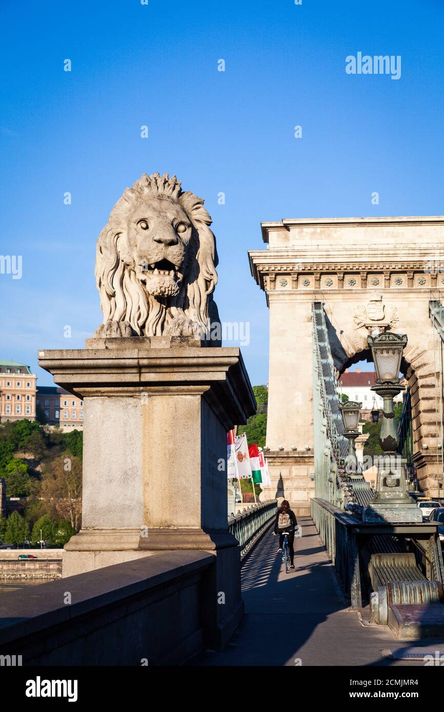 BUDAPEST, HONGRIE - 19 mai 2017 : statue de lion au début du Pont de Banque D'Images