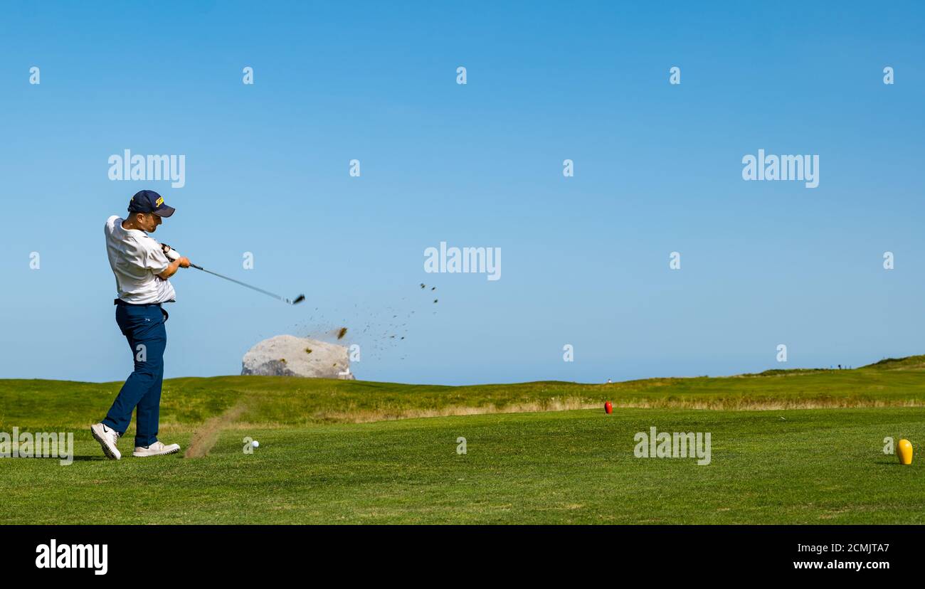 East Lothian, Écosse, Royaume-Uni, 17 septembre 2020. Météo au Royaume-Uni : la vague de chaleur la rend sur la côte est de l'Écosse. Un golfeur prend une oscillation de golf pour frapper une balle mais semble manquer de frapper avec le gazon volant sur le terrain de golf de Glen dans le nord de Berwick sur le sommet de la falaise avec une vue de la colonie de gannet de Bass Rock Banque D'Images