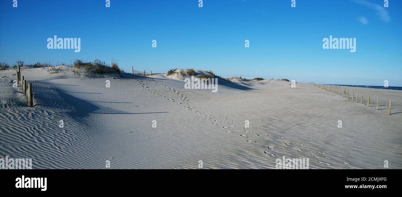 Vue panoramique sur les dunes de sable, les petites touffettes d'herbe et les ombres du soleil du matin.Aussi un ciel bleu sans nuages sur Assateague Maryland. Banque D'Images