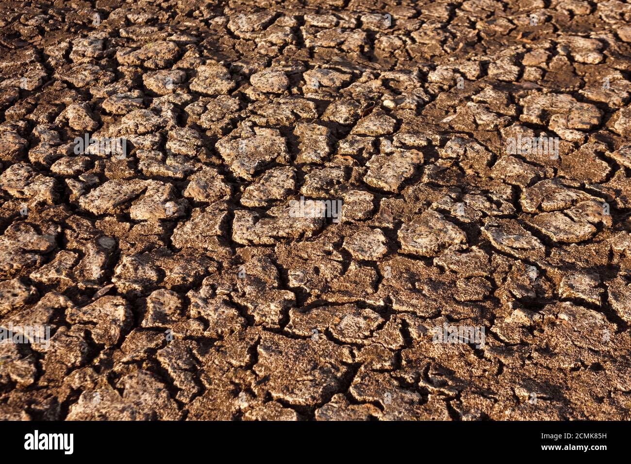 Terre fissurée et sèche dans le désert. Réchauffement climatique et pénurie d'eau sur la planète. Sécheresse, terre fissurée. Texture naturelle du sol avec fissures Banque D'Images