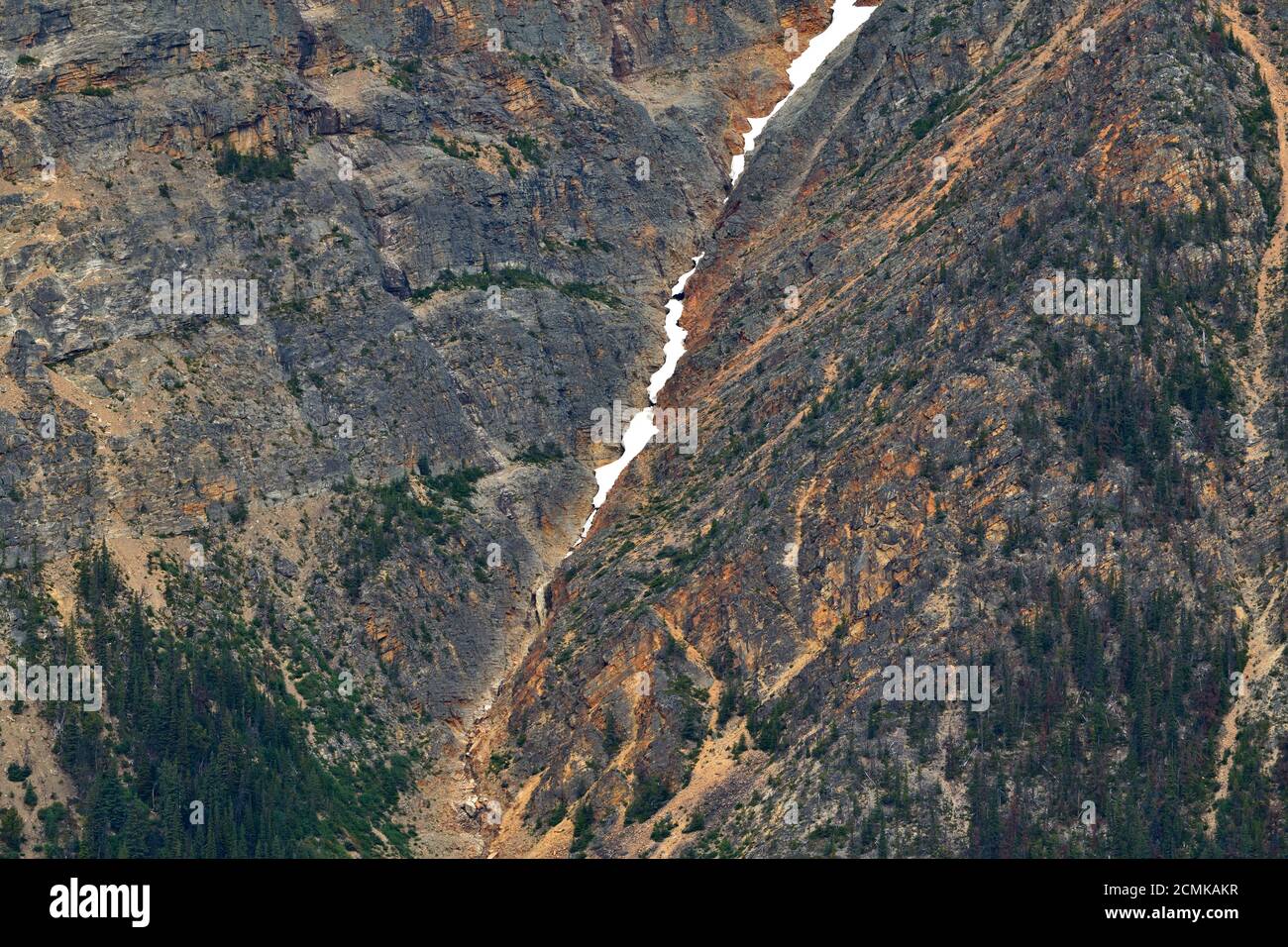 Une image de près du flanc d'une montagne rocheuse avec une crevasse remplie de neige et de glace descendant dans le parc national Jasper, Alberta Canada, Banque D'Images