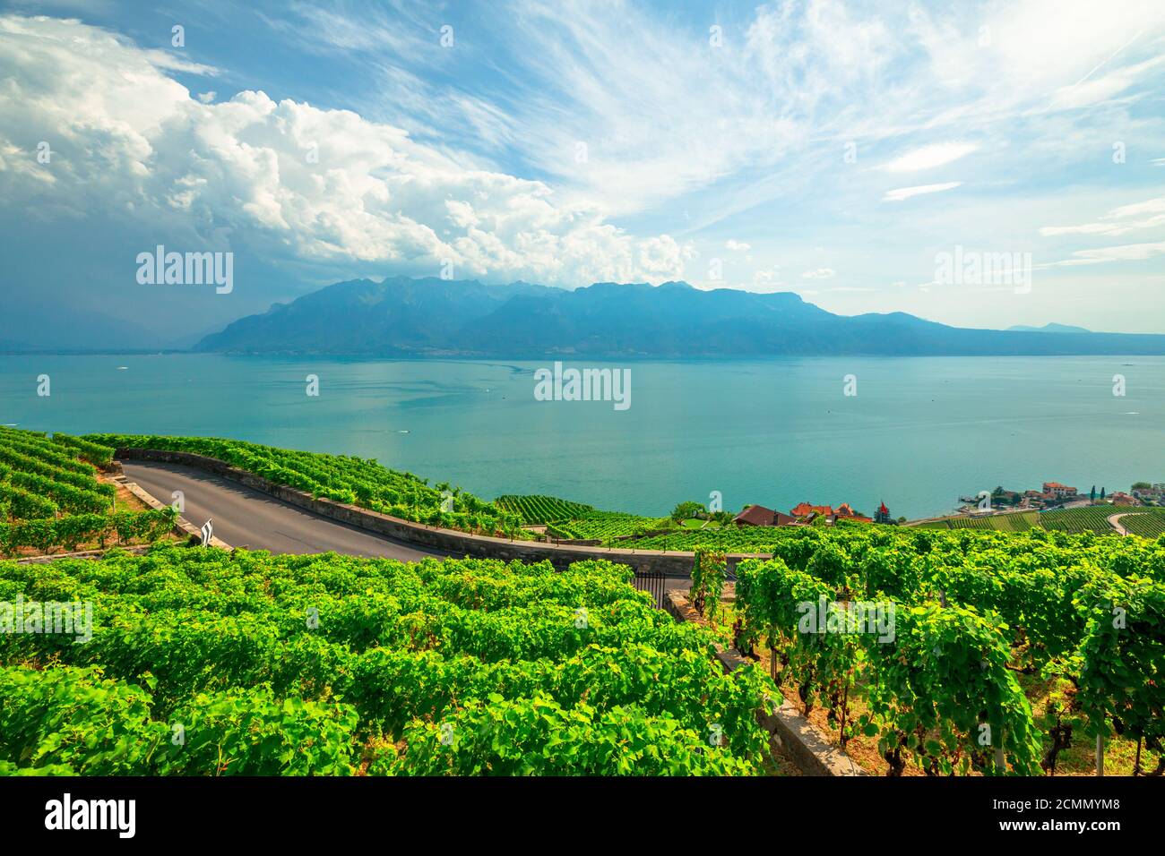 Lavaux, Suisse: Paysage de Lavaux Vineyard terrasse sentier de randonnée, lac Léman et APS suisse. Vignoble du patrimoine de l'UNESCO de la région viticole de Lavaux Banque D'Images