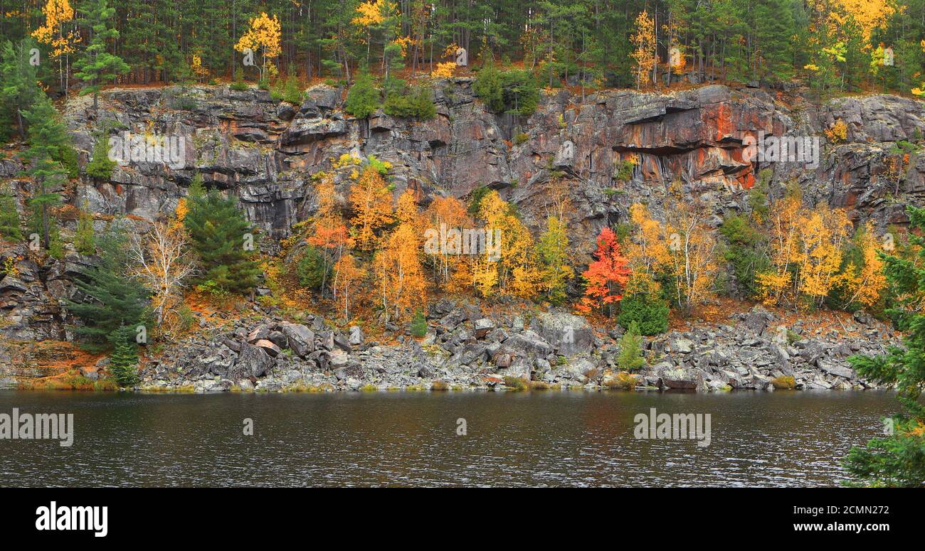 Une falaise avec belle couleur d'automne au parc provincial Algonquin, Canada Banque D'Images