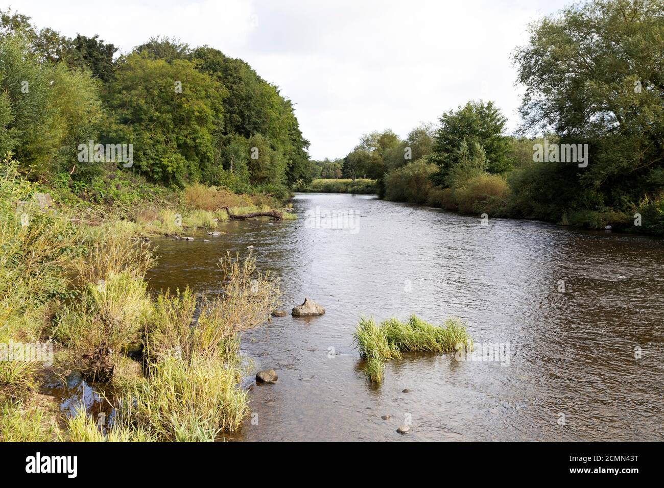 The River Wear à Chester-le-Street dans le comté de Durham, en Angleterre. L'eau est peu profonde à Chester-le-Street. Banque D'Images