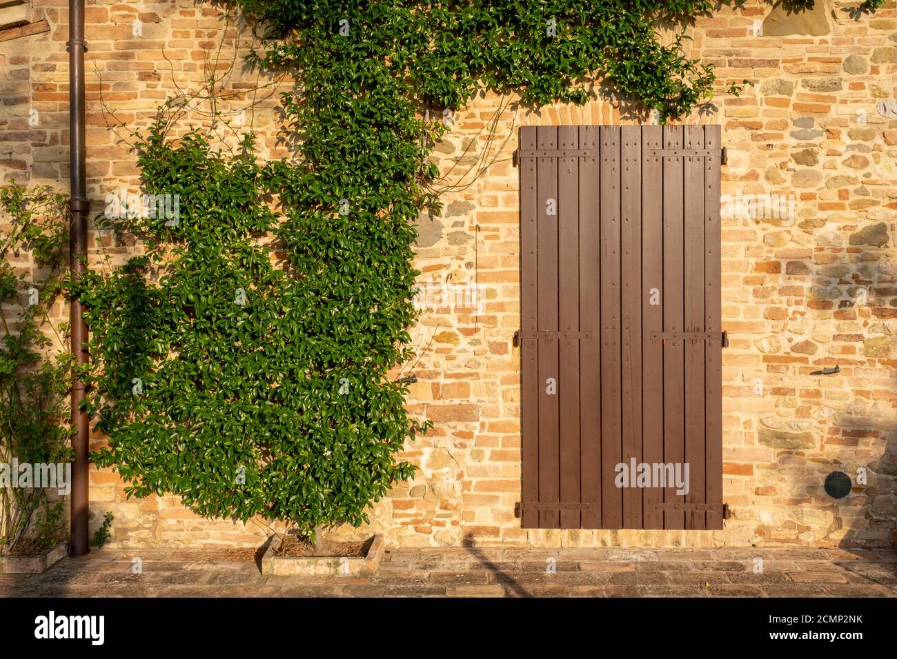 Mur de briques encadré par Ivy Banque D'Images