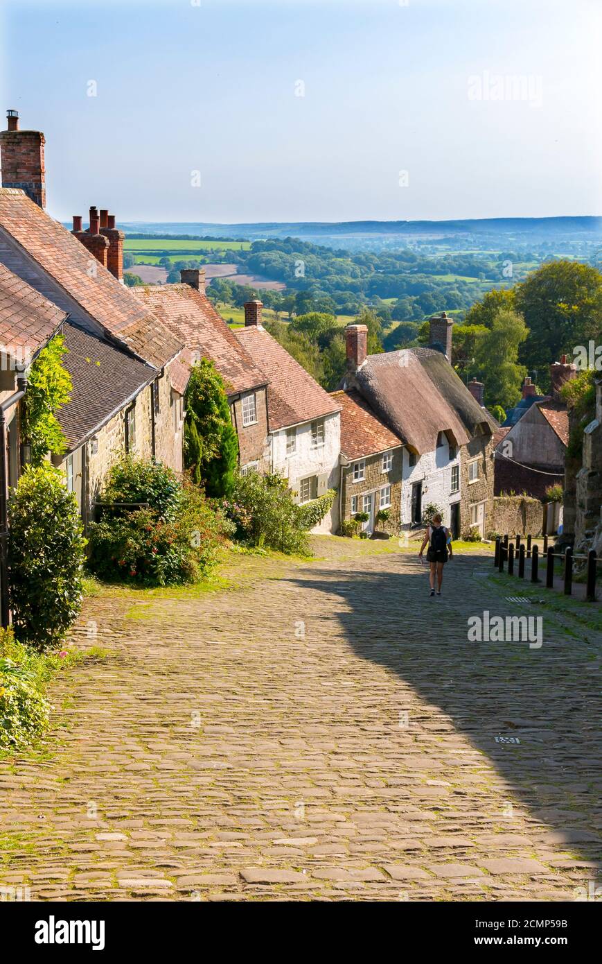 Gold Hill est une rue pavée escarpée dans la ville de Shaftesbury, dans le comté anglais de Dorset. La vue en bas du sommet de la ville. Banque D'Images