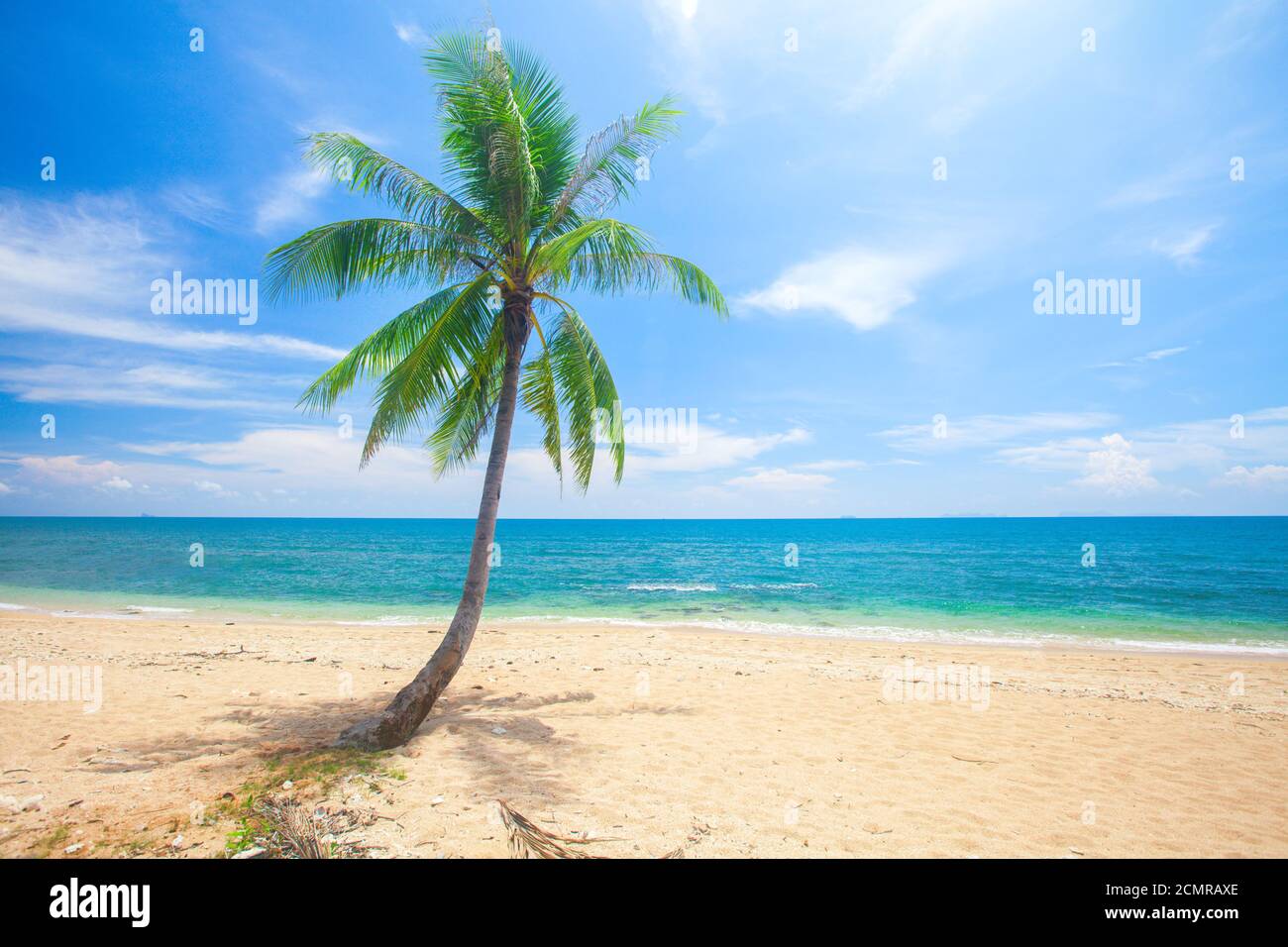 Vue panoramique plage tropicale avec cocotier Banque D'Images