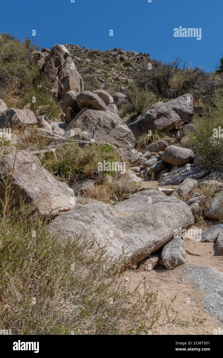 Sandia Mountain Wilderness, à Albuquerque, Nouveau-Mexique Banque D'Images