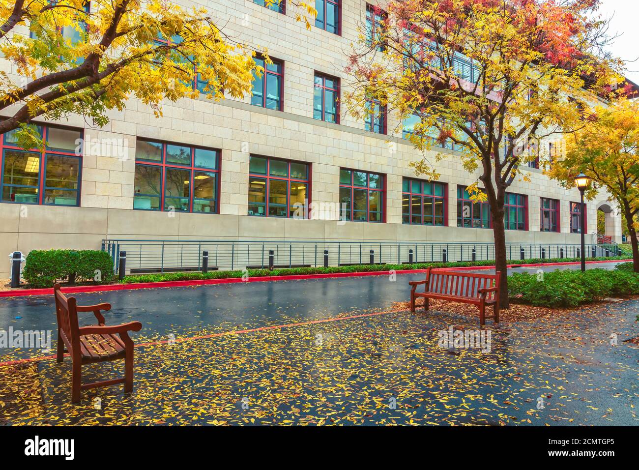 Campus de l'université de Stanford le jour des pluies automnales, Palo Alto, Californie, États-Unis. Banque D'Images