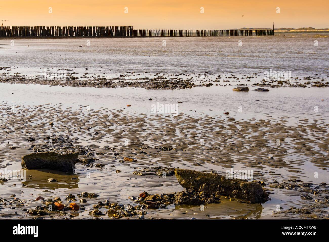 mudflats de breskens plage au coucher du soleil, Zeeland, pays-Bas Banque D'Images