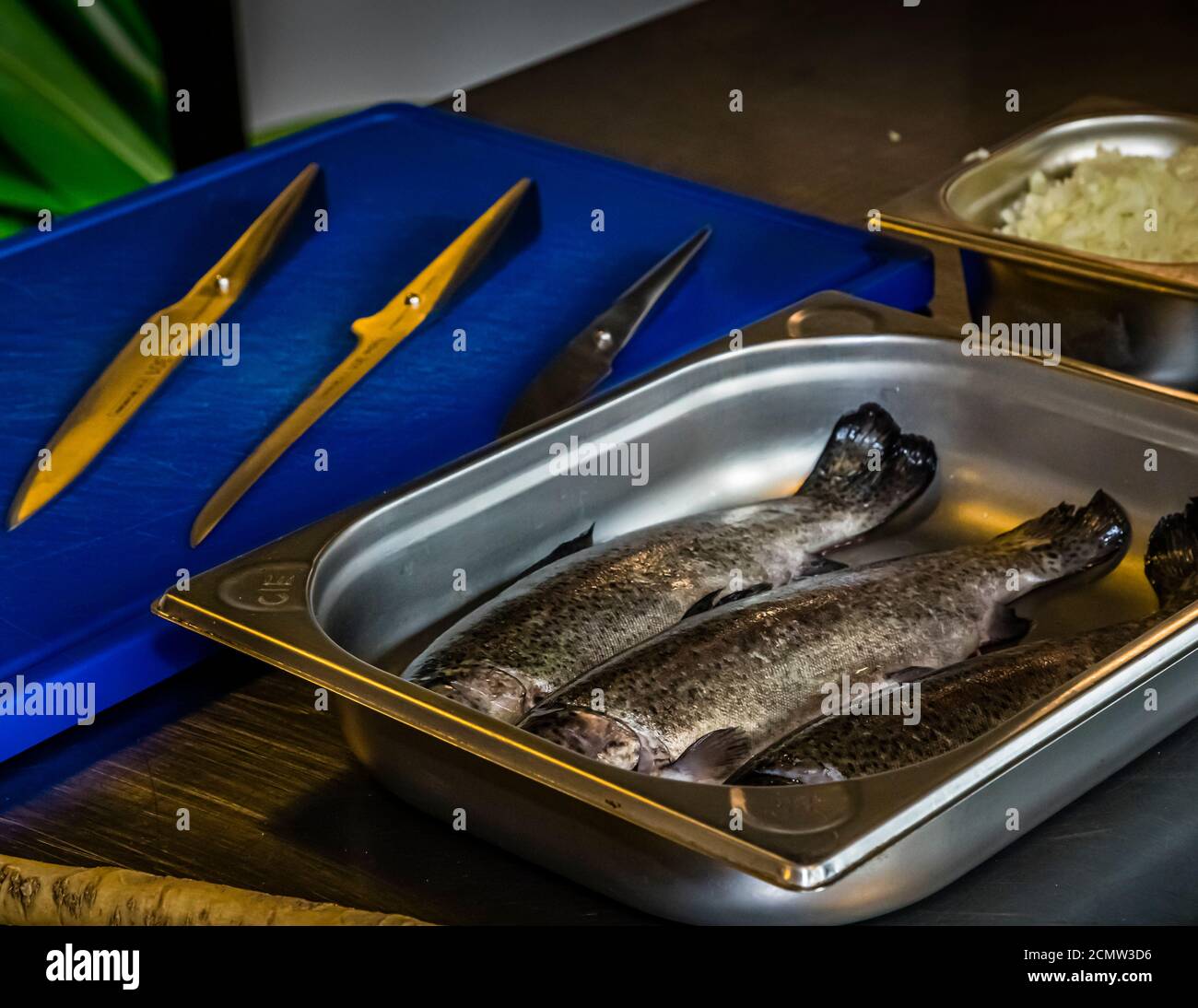 Laszlo Papdi explique la technique de coupe dans la cuisine lors d'un cours à l'Institut culinaire de Budapest, Hongrie Banque D'Images