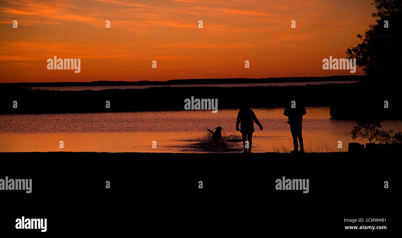 Coucher de soleil sur l'île d'Assateague au-dessus des marais, baie d'eau salée avec silhouette de couple avec chien jouant dans l'eau. Banque D'Images