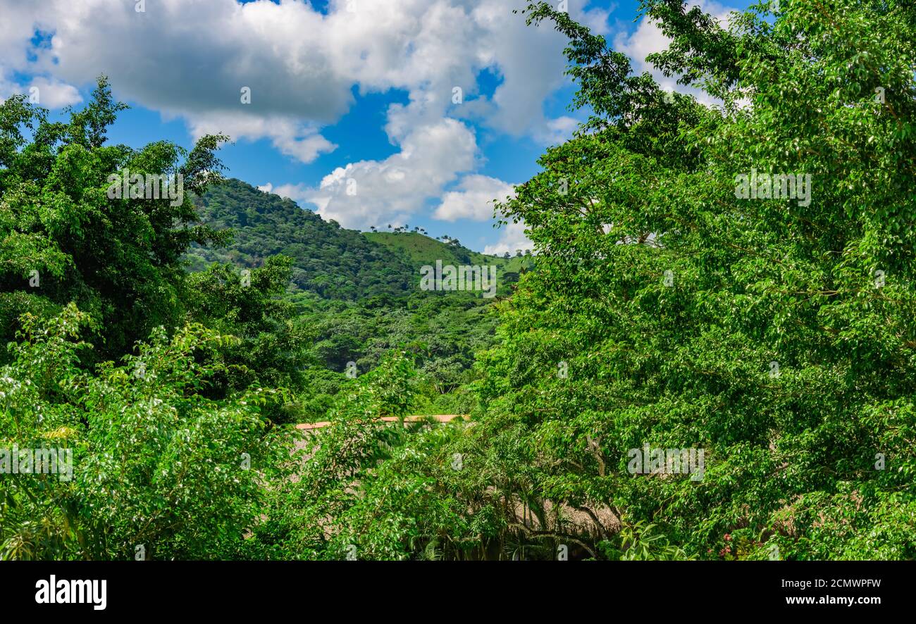 Paysage de la jungle de la République dominicaine Banque D'Images