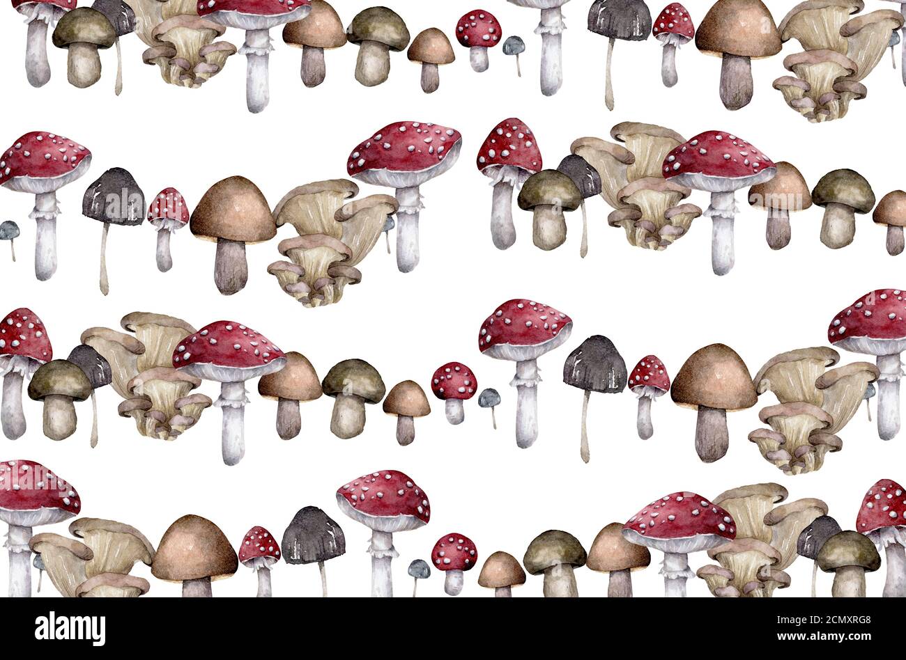 Fond de champignon de forêt dessiné à la main d'amanita avec escargots et chenilles sur fond blanc Banque D'Images