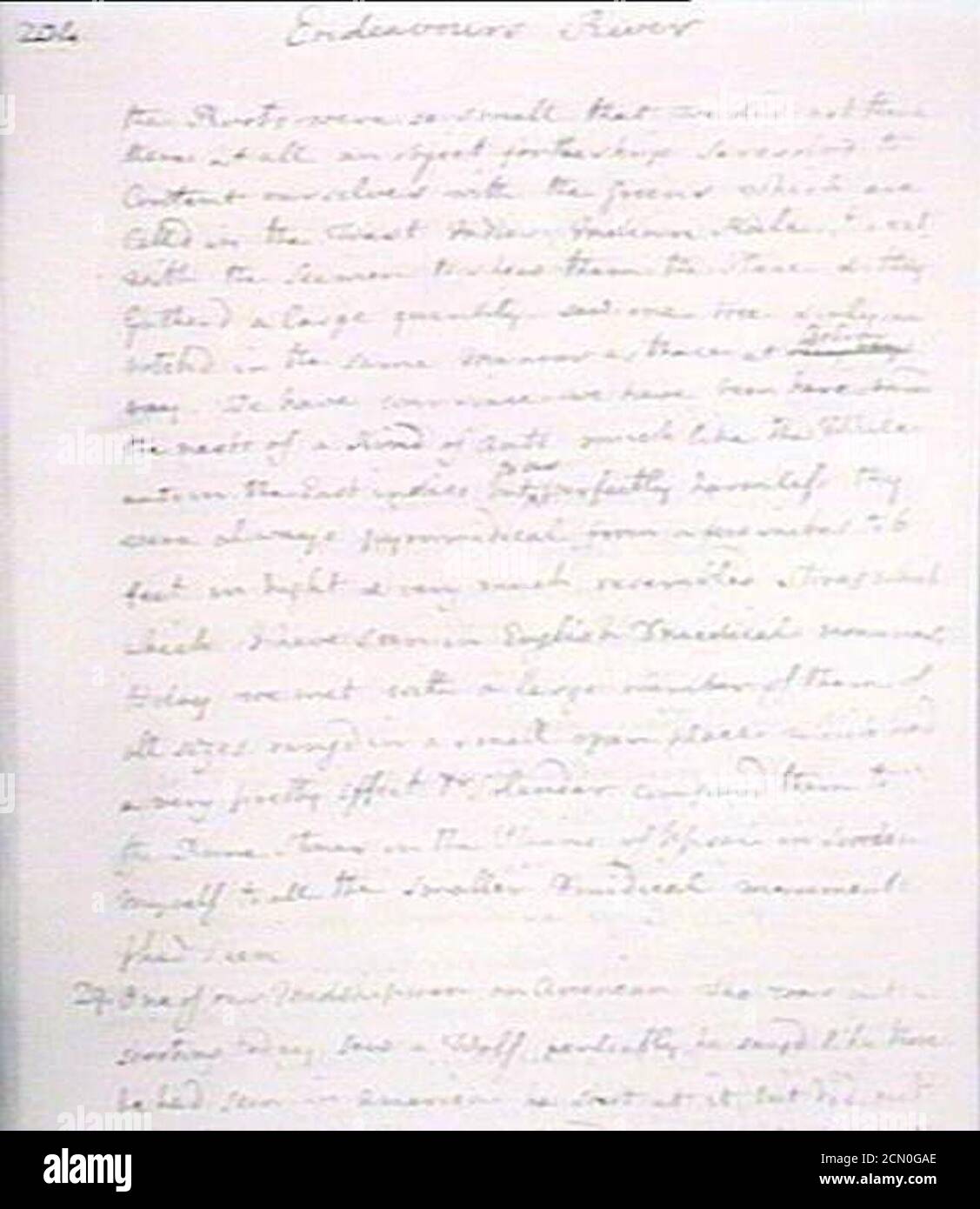 Journal de Joseph Banks - page 204. Banque D'Images