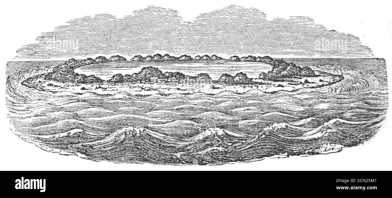 Journal de recherches (1860) page 466. Banque D'Images