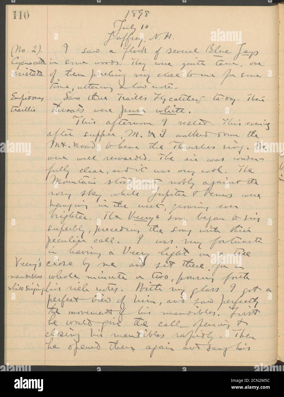 Journal,1896-1899 (inclus) (page 110) Banque D'Images