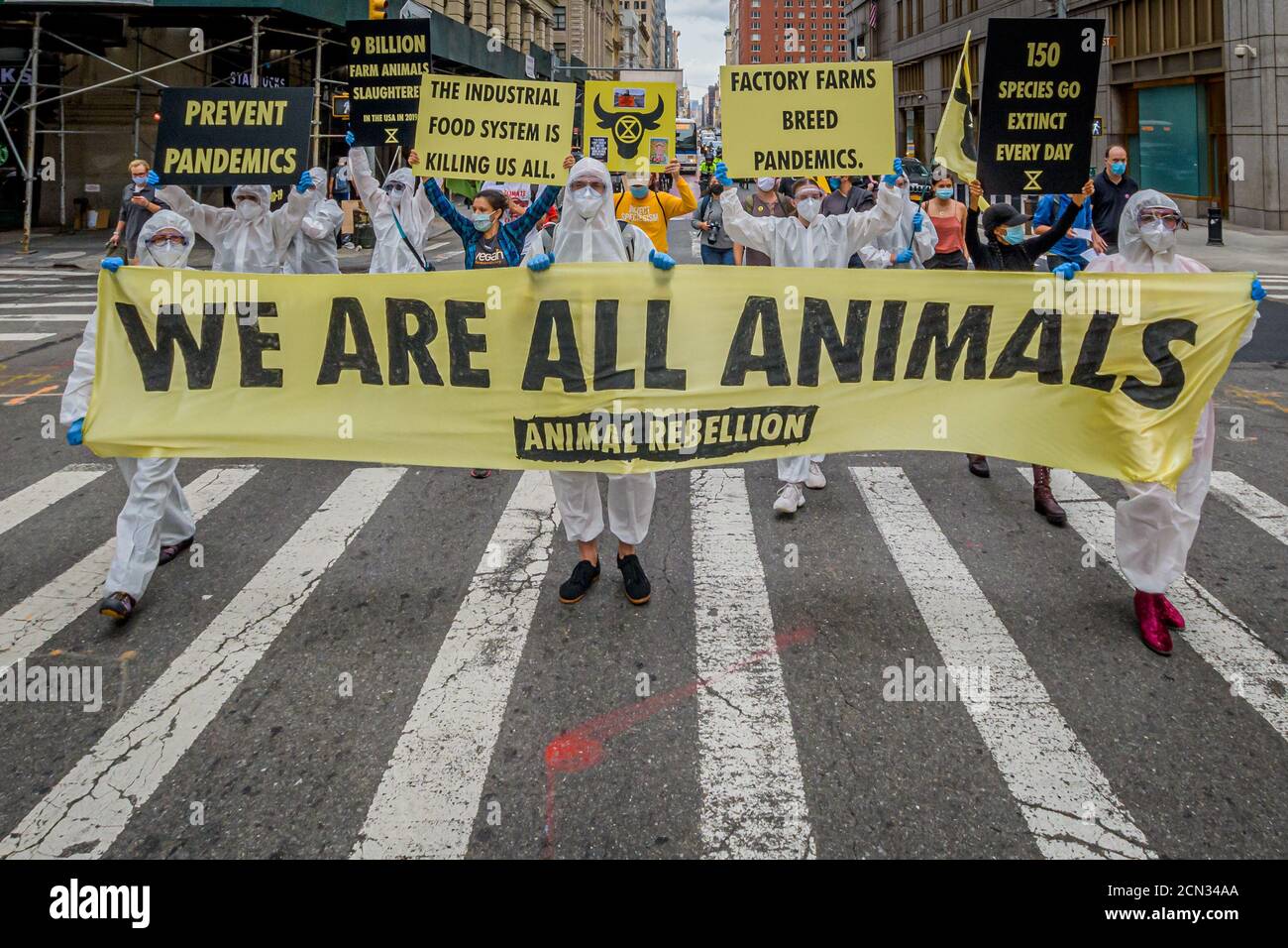 ÉTATS-UNIS. 17 septembre 2020. Le 17 septembre, 2020 activistes de l'extinction Rebellion NYC et Animal Rebellion NYC se sont réunis à Foley Square pour une action directe non violente reliant la justice animale, la justice climatique et la justice raciale à l'actuelle crise de santé publique de la COVID-19 que, selon eux, le gouvernement a terriblement mal géré. (Photo par Erik McGregor/Sipa USA) crédit: SIPA USA/Alay Live News Banque D'Images