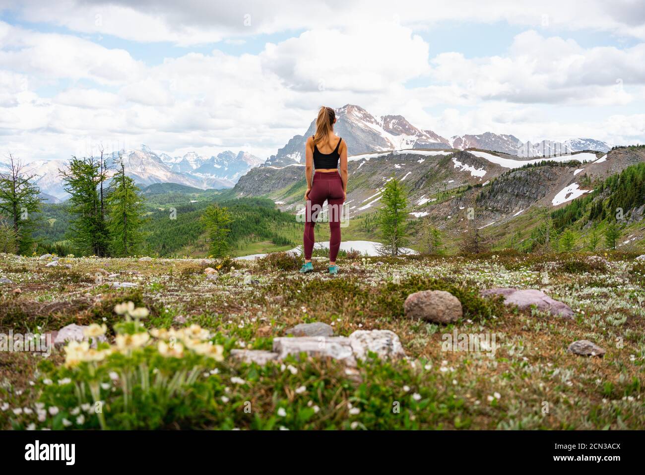 Vue sur Sunshine Meadows et Healey Pass à Banff Banque D'Images