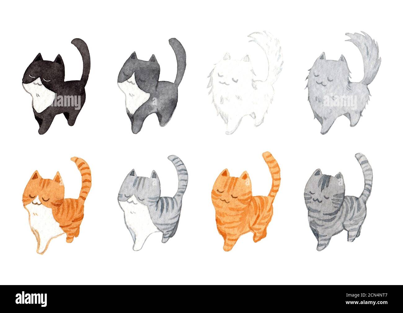 Ensemble de chats mignons dans la même posture. Illustration de peinture à la main aquarelle sur fond blanc. Design pour la décoration dans la publicité d'œuvres d'art d'animaux de compagnie. Banque D'Images