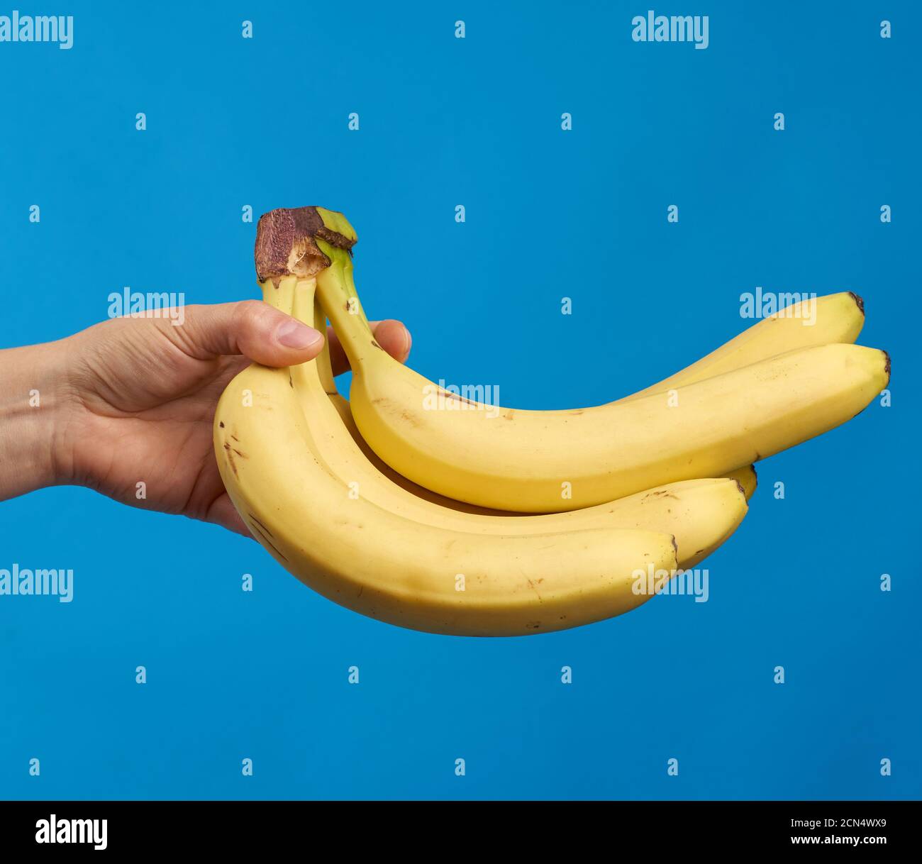 la main femelle tient une banane mûre jaune sur un bleu arrière-plan Banque D'Images